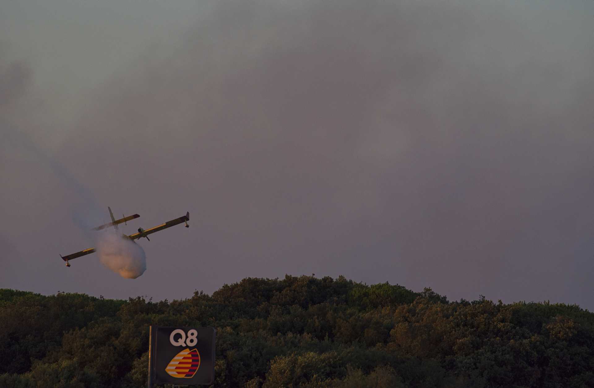 Un altro pezzo di pineta se ne va: l''incendio di Castelfusano